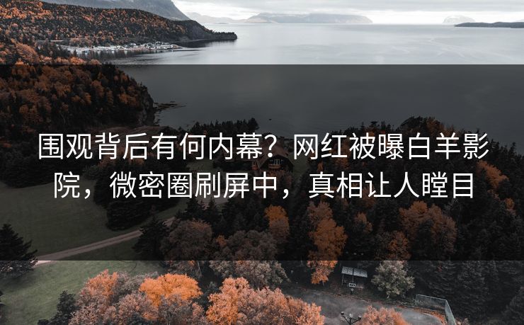围观背后有何内幕？网红被曝白羊影院，微密圈刷屏中，真相让人瞠目