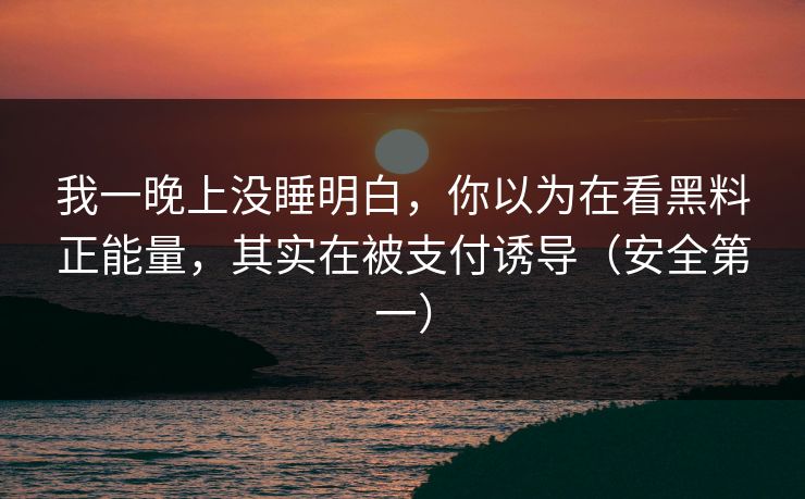 我一晚上没睡明白，你以为在看黑料正能量，其实在被支付诱导（安全第一）